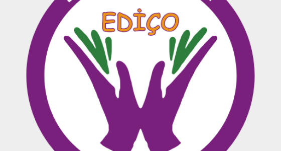 Dirençli Epilepsi Nedir?